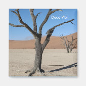 Dead Vlei, Namibische magneet (Voorkant)
