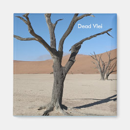 Dead Vlei, Namibische magneet