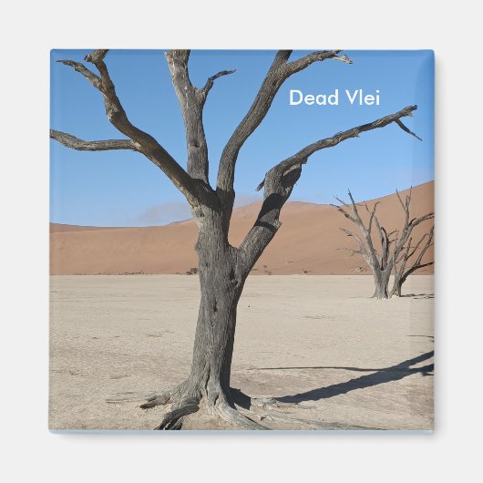 Dead Vlei, Namibische magneet (Voorkant)