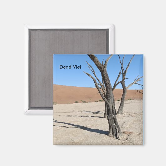 Dead Vlei, Namibische magneet (Voorkant / Achterkant)