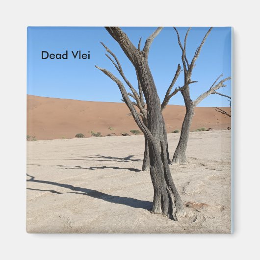 Dead Vlei, Namibische magneet (Voorkant)