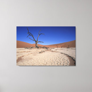 Dead Vlei, Sossusvlei, Namib-Naukluft Nationaal Canvas Afdruk
