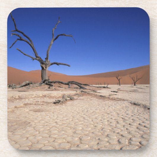Dead Vlei, Sossusvlei, Namib-Naukluft National Bier Onderzetter (Voorkant)