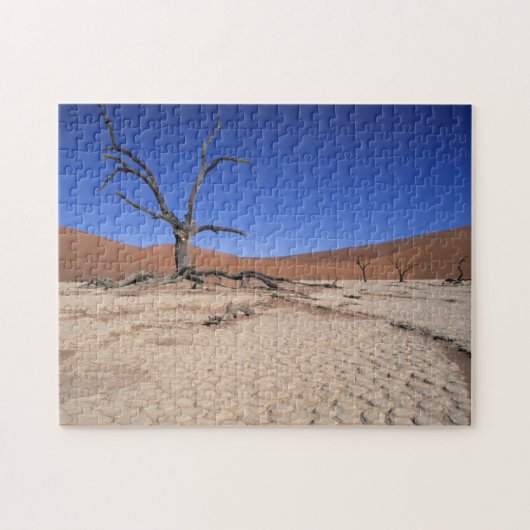 Dead Vlei, Sossusvlei, Namib-Naukluft National Legpuzzel (Horizontaal)