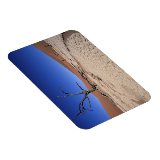 Dead Vlei, Sossusvlei, Namib-Naukluft National Magneet (Rechterzijde)