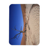 Dead Vlei, Sossusvlei, Namib-Naukluft National Magneet (Verticaal)