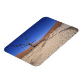Dead Vlei, Sossusvlei, Namib-Naukluft National Magneet (Linkerzijde)