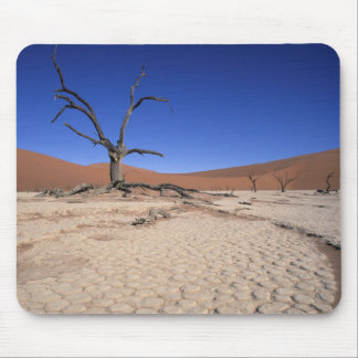 Dead Vlei, Sossusvlei, Namib-Naukluft National Muismat