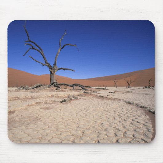 Dead Vlei, Sossusvlei, Namib-Naukluft National Muismat (Voorkant)