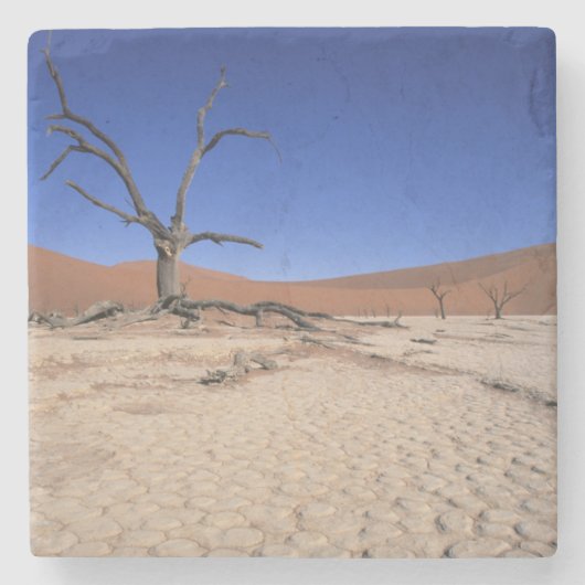 Dead Vlei, Sossusvlei, Namib-Naukluft National Stenen Onderzetter (Voorkant)