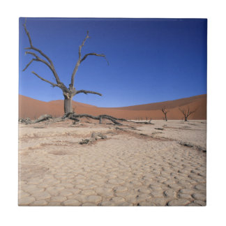 Dead Vlei, Sossusvlei, Namib-Naukluft National Tegeltje