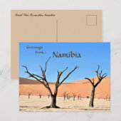 Dead Vlei Sossusvlei Namibië Briefkaart (Voorkant / Achterkant)