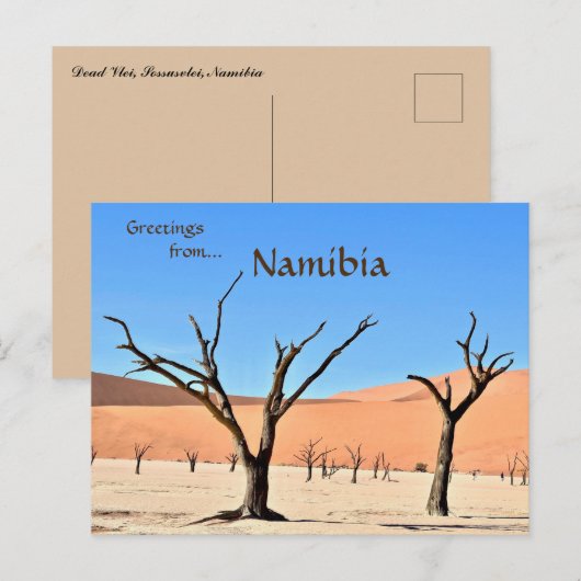 Dead Vlei Sossusvlei Namibië Briefkaart (Voorkant / Achterkant)