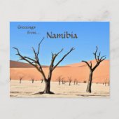 Dead Vlei Sossusvlei Namibië Briefkaart (Voorkant)