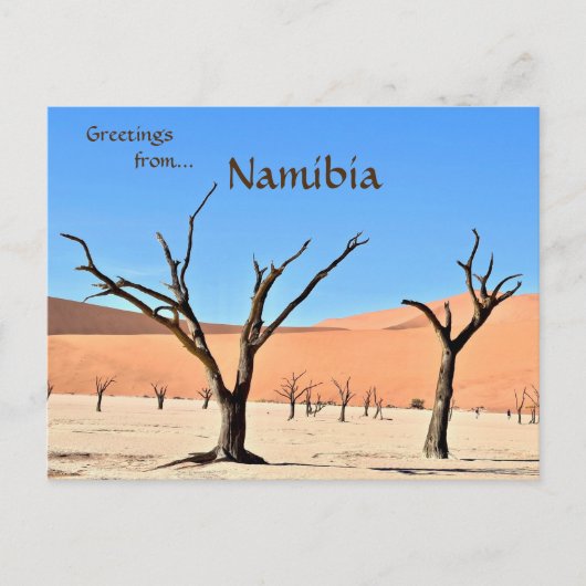Dead Vlei Sossusvlei Namibië Briefkaart (Voorkant)