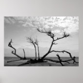 Dead Wood Poster (Voorkant)