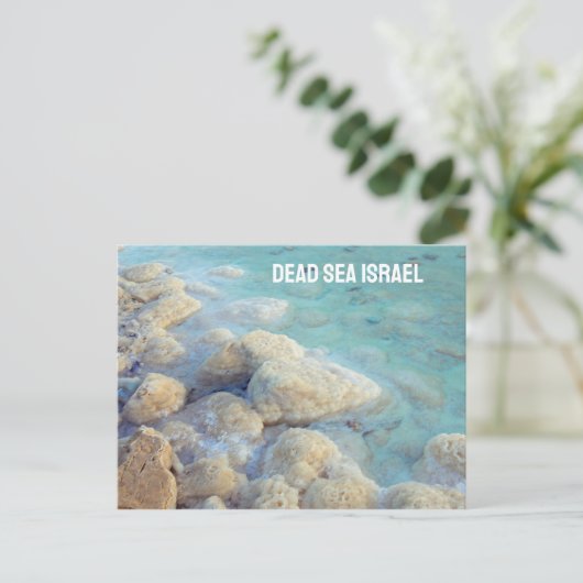 Dead Zee Israel Briefkaart (Staand voorkant)