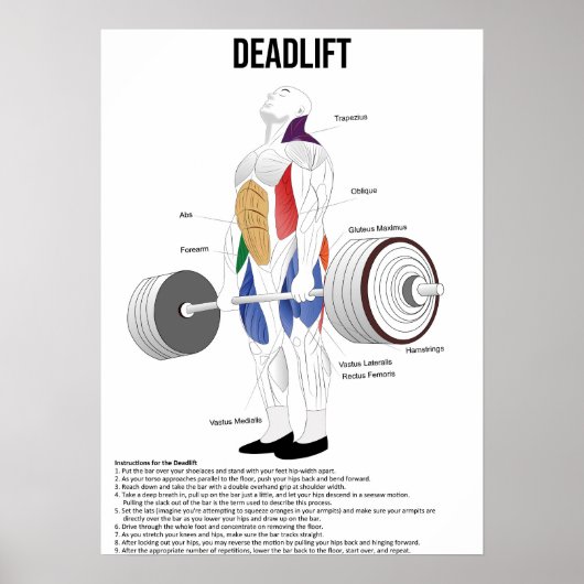 Deadlift - Uitoefening - Anatomieurspier Poster (Voorkant)