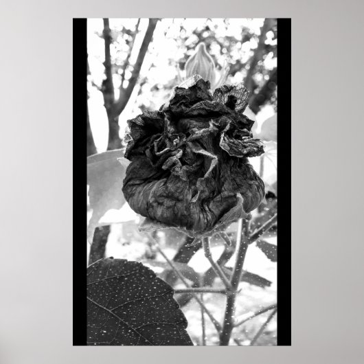 deadly poster (Voorkant)