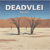 Deadvlei Namibië Reizen Sticker (Voorkant)