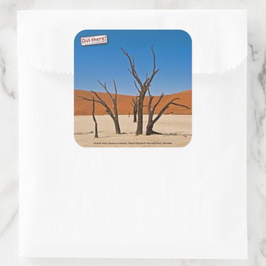 Deadvlei Vierkante Sticker (Tas)