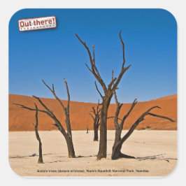 Deadvlei Vierkante Sticker