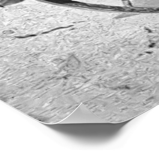 DEADWOOD STAGECOACH in 1889 Poster (Hoek)