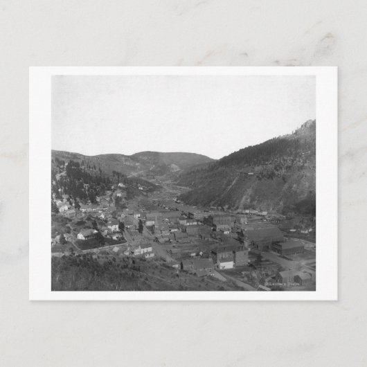 Deadwood van Livingston's Hill Photography Briefkaart (Voorkant)