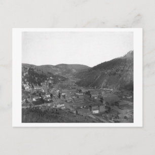 Deadwood van Livingston's Hill Photography Briefkaart