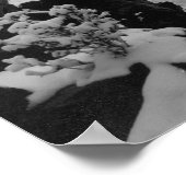 Deadwood zoals gezien op foto van White Rocks Poster (Hoek)