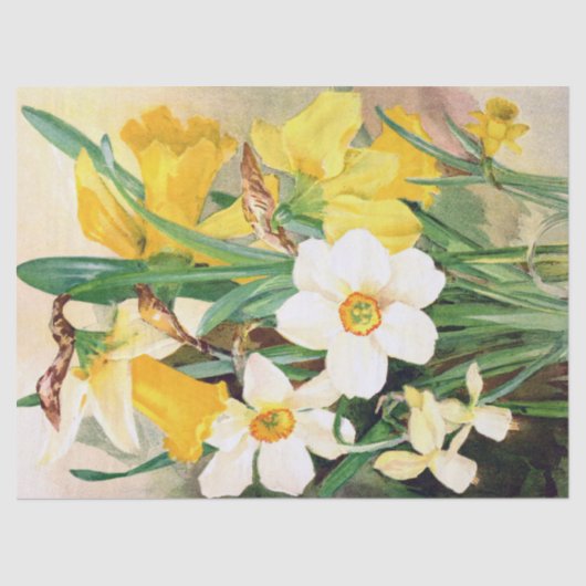 Deaffodils Geel en Wit Weefpapier 17x23 Tissuepapier (Voorkant)