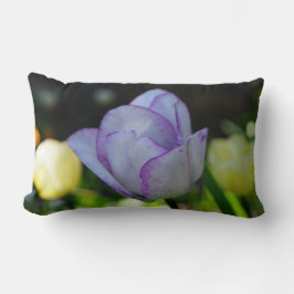 Deaffodils van schoonheid kussen