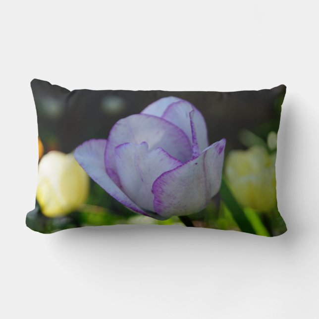 Deaffodils van schoonheid kussen (Voorkant)