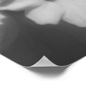 Deaffodilventilatorgedeeltelijke kleur poster (Hoek)