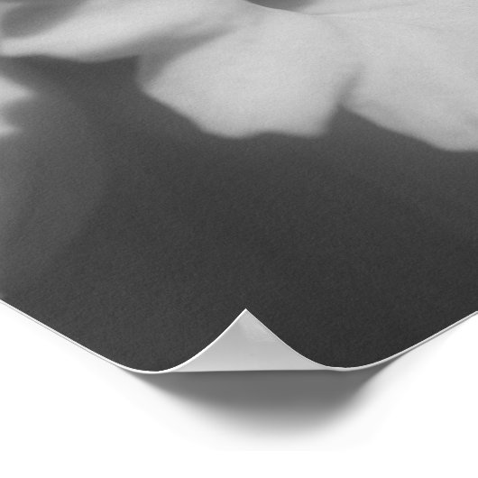 Deaffodilventilatorgedeeltelijke kleur poster (Hoek)