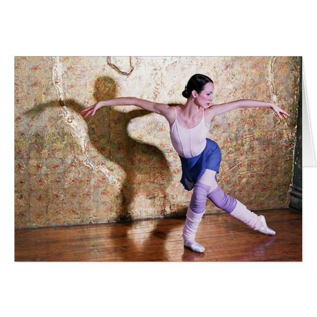 Deanna McBrearty - Vlucht van de Zwan (Voorkant Horizontaal)