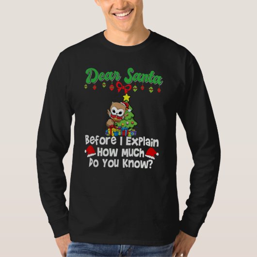 Dear Santa Before I Explain How Much Do You Know_1 T-shirt (Voorkant)