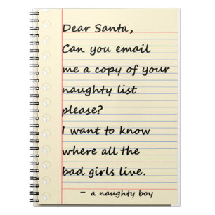 DEAR SANTA-BRIEF van een stoute jongen Notitieboek
