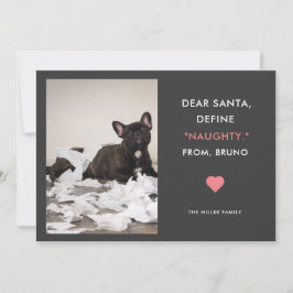 Dear Santa Define Naughty Funny Pet Photo Feestdagenkaart