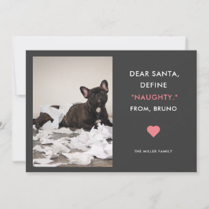 Dear Santa Define Naughty Funny Pet Photo Feestdagenkaart