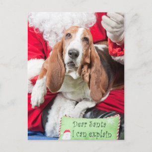 Dear Santa I can Explain Basset Hound Feestdagenkaart