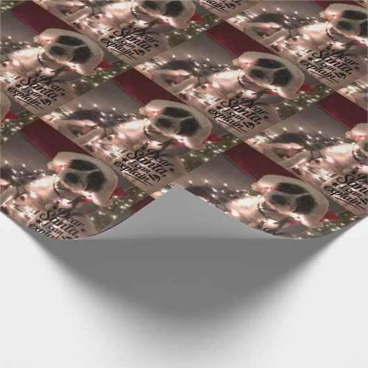 Dear Santa I can explain (dog) Cadeaupapier (Hoek)
