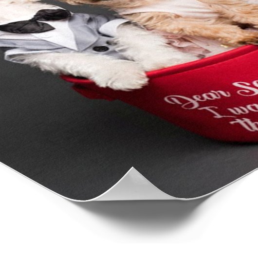 DEAR SANTA, IK WIL ALLE BOTTEN POSTER (Hoek)