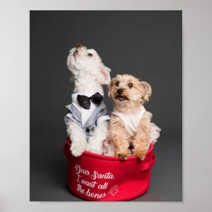 DEAR SANTA, IK WIL ALLE BOTTEN POSTER