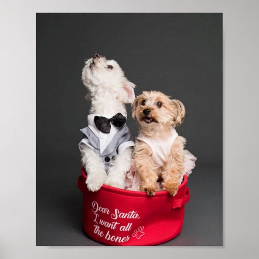 DEAR SANTA, IK WIL ALLE BOTTEN POSTER (Voorkant)