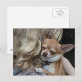 Dearly Beloved Briefkaart (Voorkant / Achterkant)