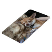 Dearly Beloved Magneet (Linkerzijde)