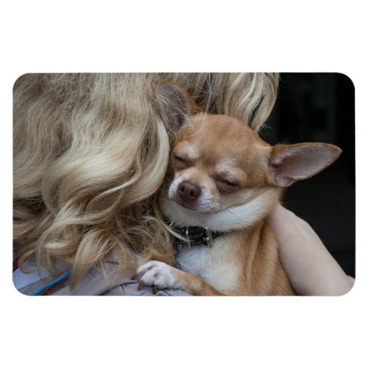 Dearly Beloved Magneet (Horizontaal)