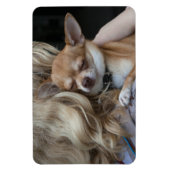 Dearly Beloved Magneet (Verticaal)