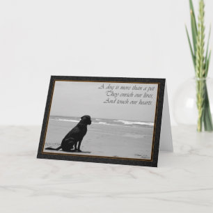 Death of a pet, dog death, sad, dog looking out kaart